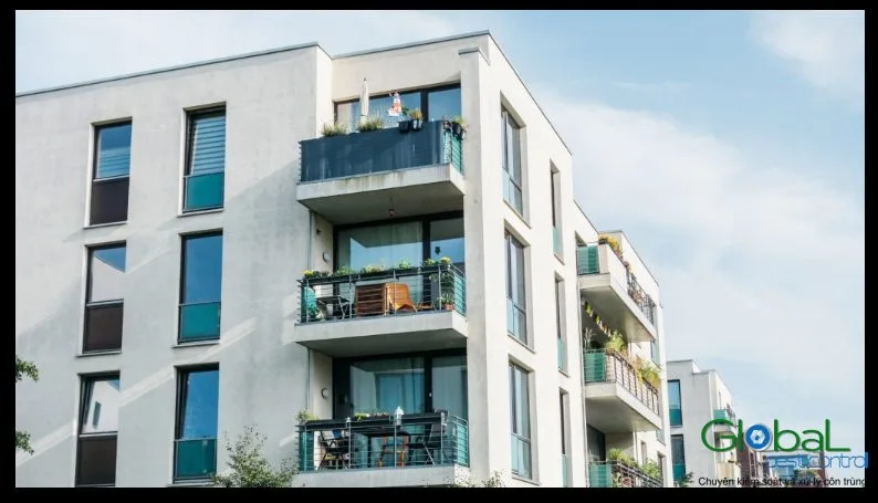 Gián trong căn hộ đến từ đâu và lây như thế nào?