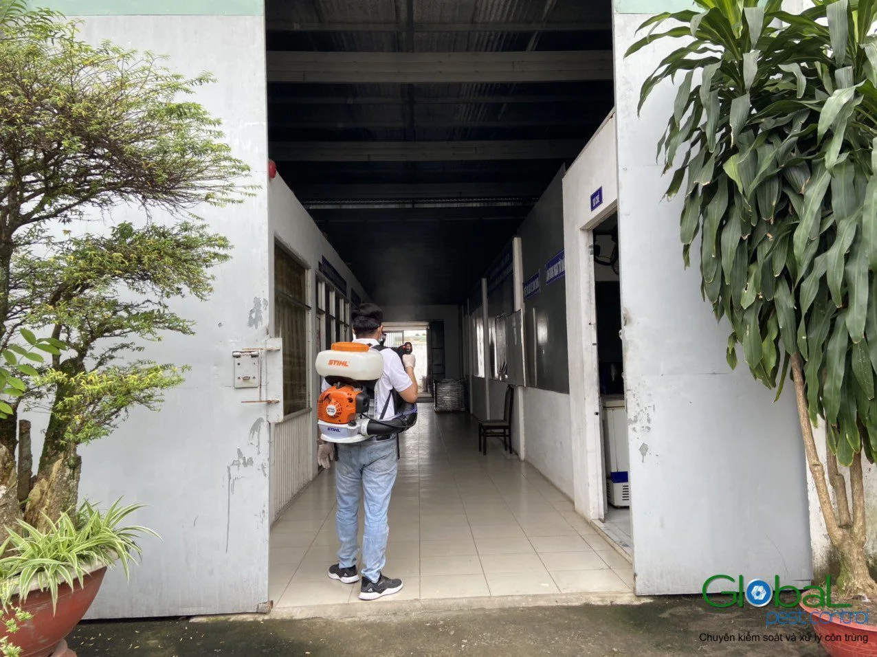 Kỹ thuật viên phun sương dọc hành lang có cây cảnh