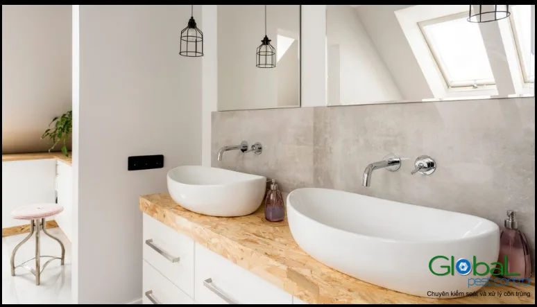 Vì sao kiến vào phòng tắm và cách xử lý