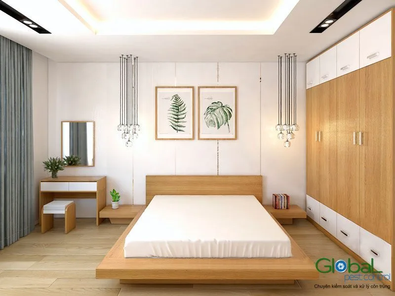 Làm thế nào để xử lý và diệt kiến ​​trong phòng ngủ?