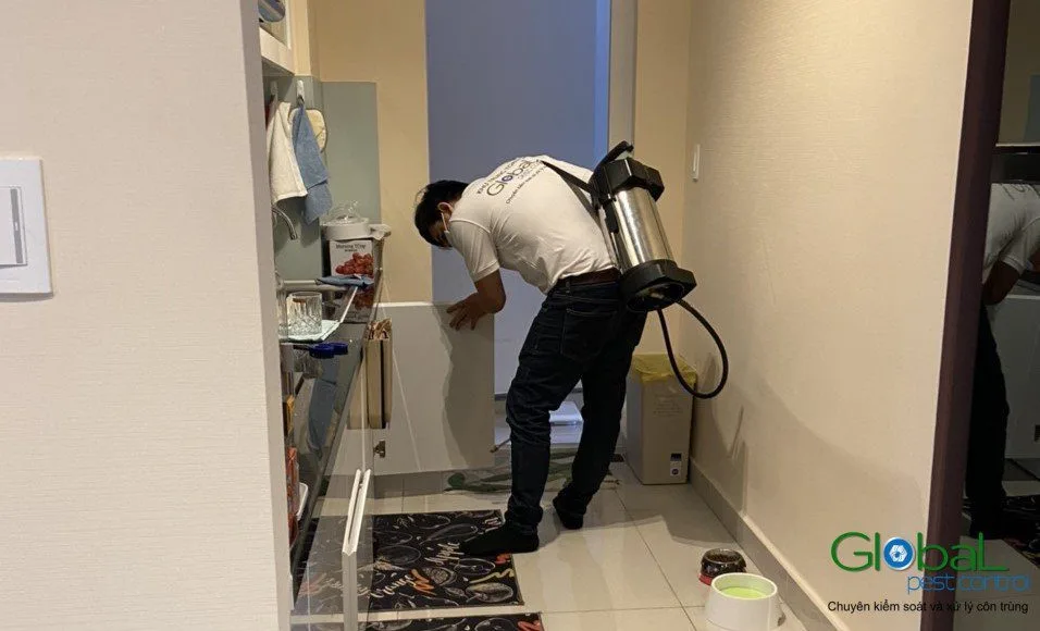 Xử lý gián trong tủ bếp và nhà bếp