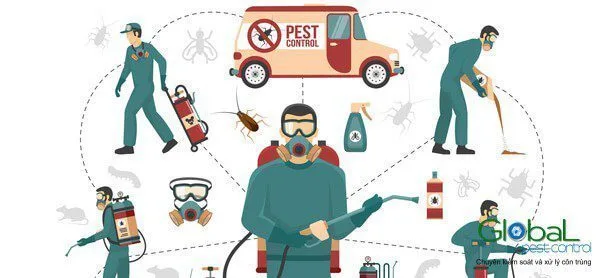 Bảng giá kiểm soát côn trùng tổng hợp theo diện tích