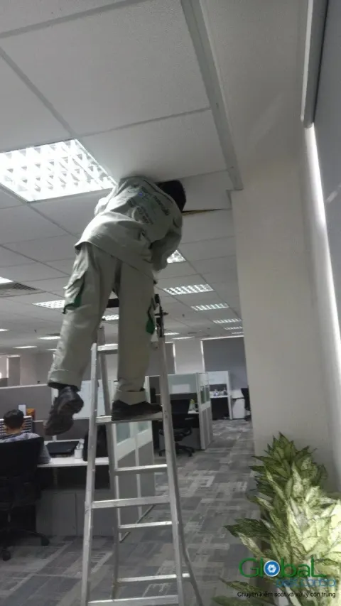 Kỹ thuật viên đứng thang phun thuốc trên trần văn phòng