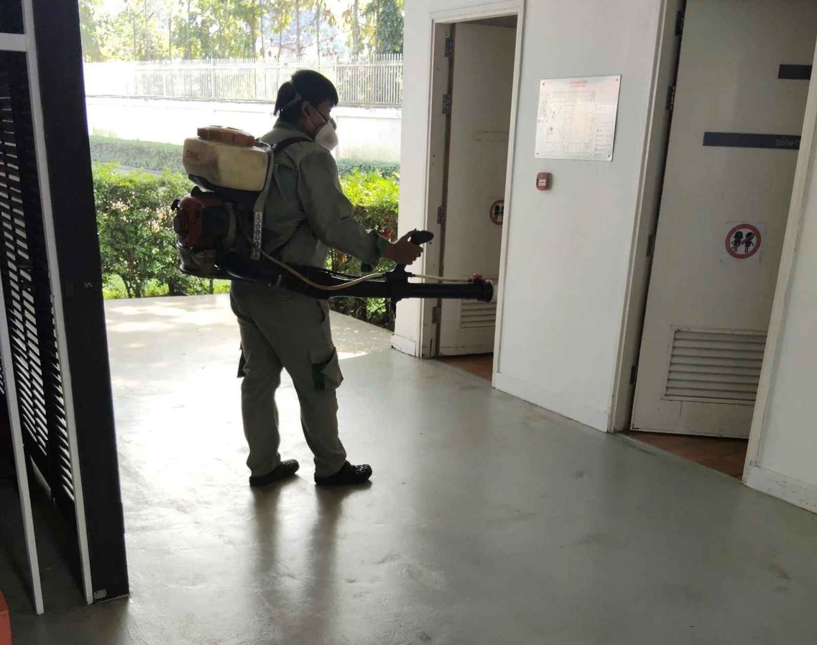 Vì sao tầng cao vẫn có muỗi, ruồi và rệp?
