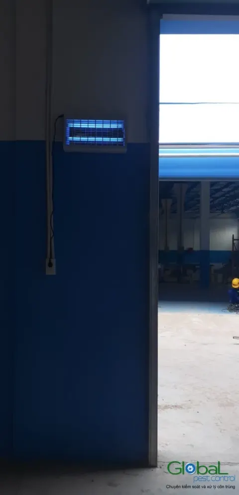 Đèn diệt côn trùng sáng tím trên tường cao cạnh cửa lớn nhà máy