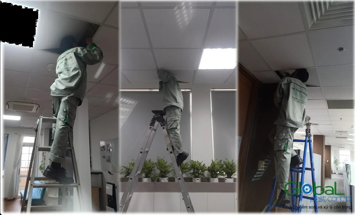 Phòng máy chủ có cần xử lý chuột riêng?