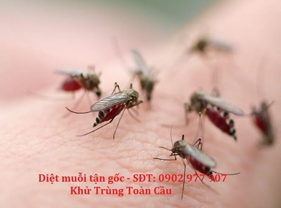 Phun sương và phun tồn lưu khác nhau thế nào?