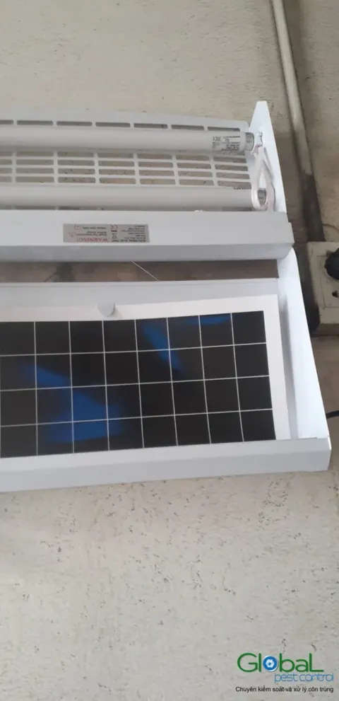 Đèn diệt côn trùng tấm keo ô lưới lắp cạnh cửa sổ nhà xưởng