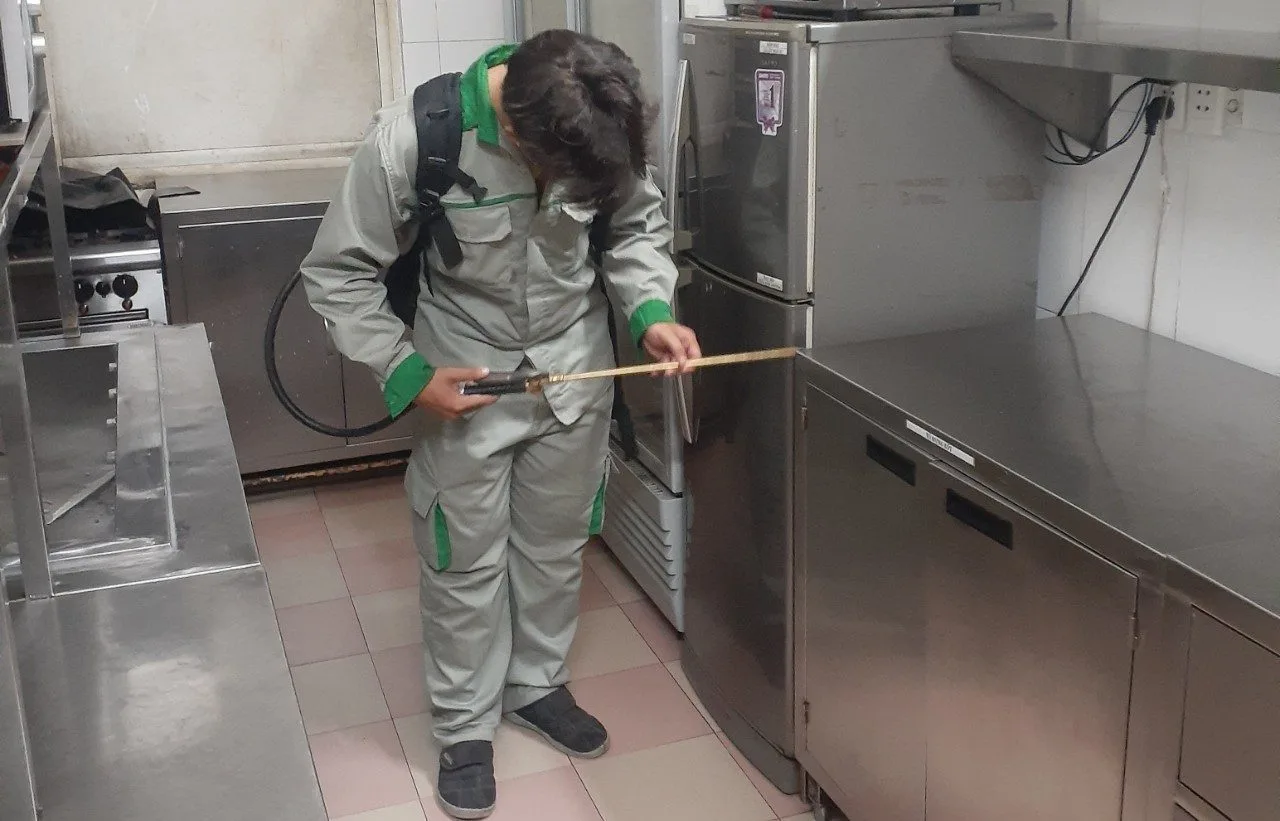 Chung cư chặn kiến ba khoang theo toà thế nào?