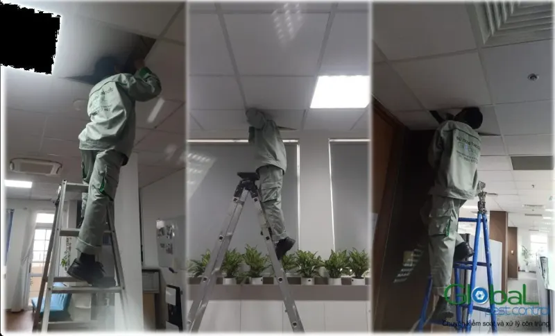 Kỹ thuật viên đứng thang mở tấm trần thả trong văn phòng để kiểm tra