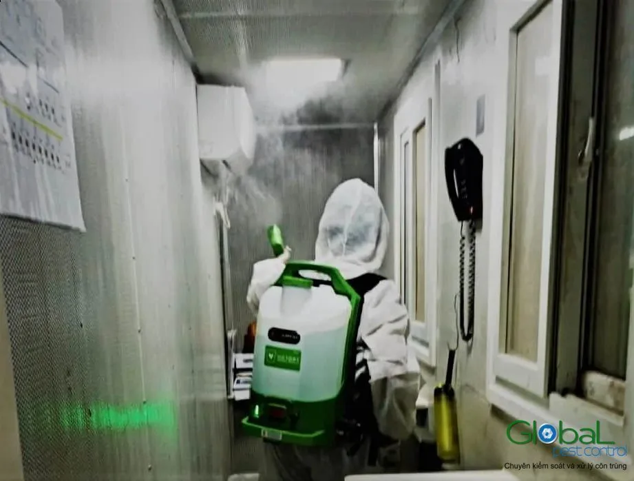 Gói pest control tại nhà nên có mấy lần một năm?