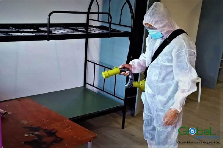 Dịch vụ diệt côn trùng tại nhà - Dịch vụ diệt côn trùng giá rẻ