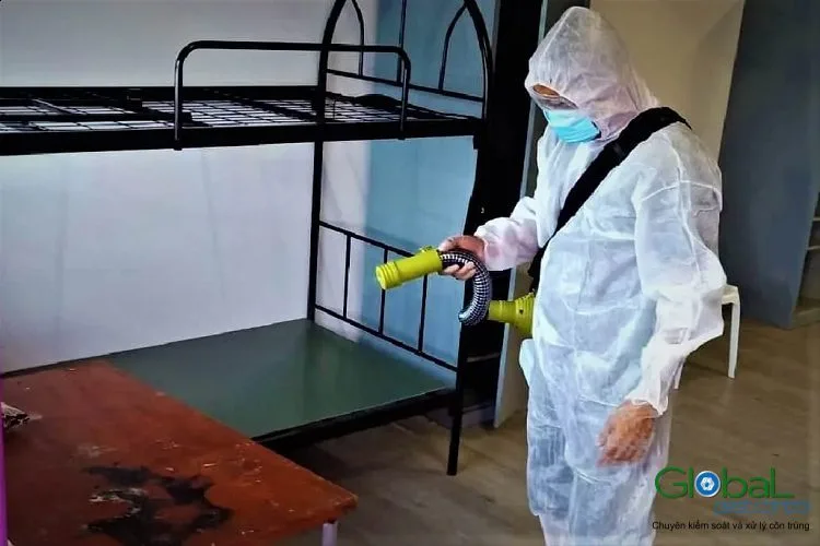 Diệt côn trùng tại nhà giá bao nhiêu một lần?