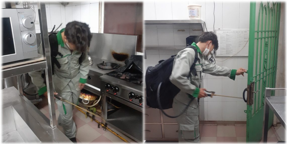 Dịch Vụ Xử Lý Gián Cho Trường học, Cơ sở giáo dục — Quy Trình Và Báo Giá