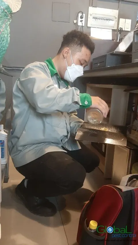Kỹ thuật viên ngồi kiểm tra gầm tủ bếp trước khi phun thuốc