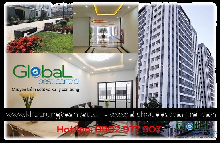Dịch vụ xử lý và diệt Chuột cho Căn hộ, Chung cư, Nhà riêng