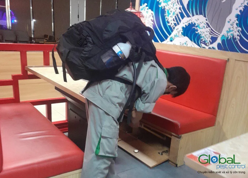 Gói diệt gián Đức cần giấy tờ gì?