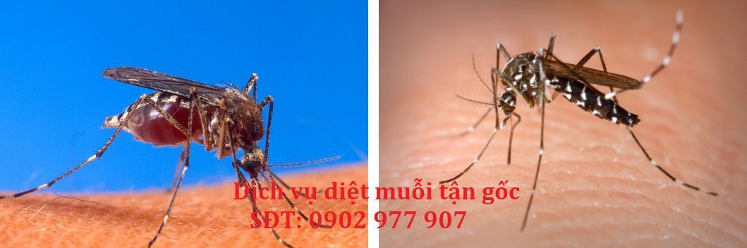 Hình minh họa nội dung bài viết