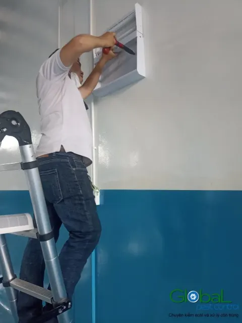 Kỹ thuật viên đứng thang lắp đèn diệt côn trùng trên tường nhà máy thực phẩm