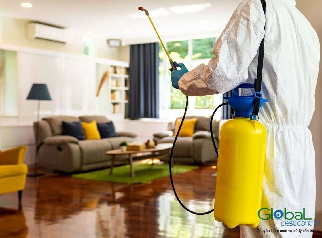 Tự diệt mối được không và hiệu quả tới đâu?