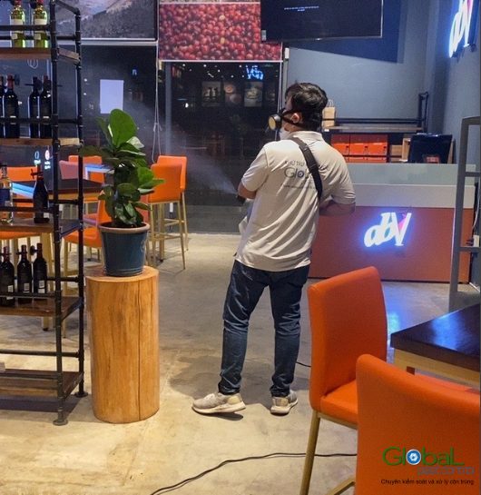 Dịch vụ phun diệt Muỗi dành cho nhà hàng, khách sạn, quán ăn, cafe