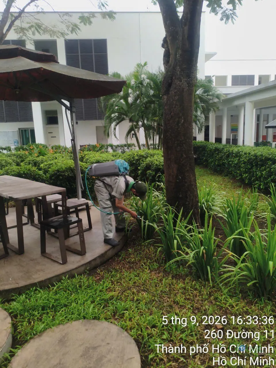 Phun diệt côn trùng định kỳ (đợt 7) — ảnh 16