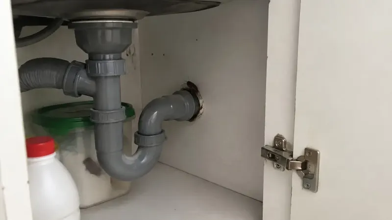 Gián bám cạnh cổ ống thoát nước trong gầm bồn rửa