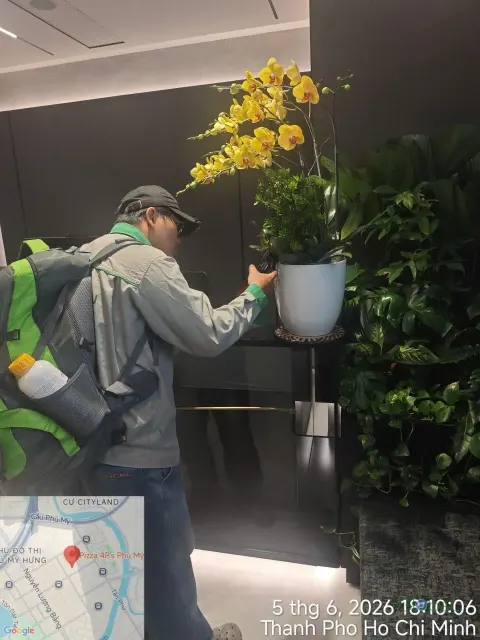Kỹ thuật viên phun thuốc cây cảnh trang trí sảnh văn phòng
