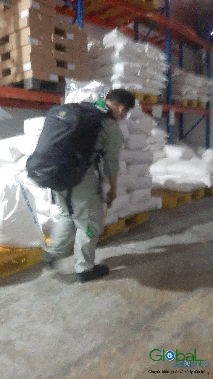 Kỹ thuật viên đeo bình phun cúi xử lý chân pallet bao nguyên liệu trong kho