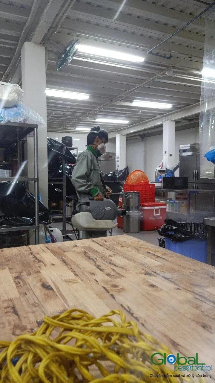 Phun diệt côn trùng định kỳ (đợt 9) — ảnh 18