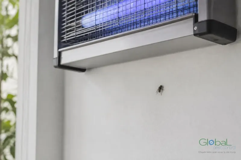 Đèn bẫy côn trùng gắn tường trong nhà