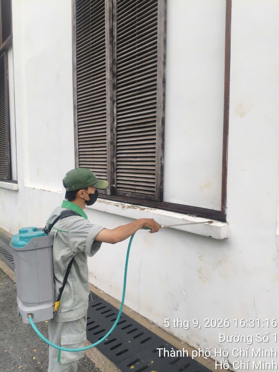 Khử khuẩn có diệt được nấm mốc không?