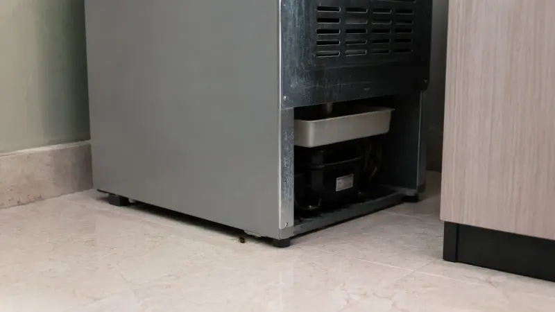 Một con gián nhỏ bò trên sàn gạch sát chân tủ lạnh, phía sau là khoang mô-tơ và khay hứng nước để hở