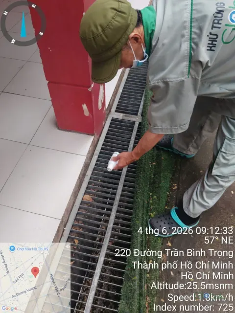Kỹ thuật viên đặt bả diệt gián vào rãnh thoát nước sân trường