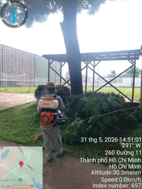 Kỹ thuật viên đeo máy phun động cơ phun diệt muỗi gốc cây sân trường, phun định kỳ