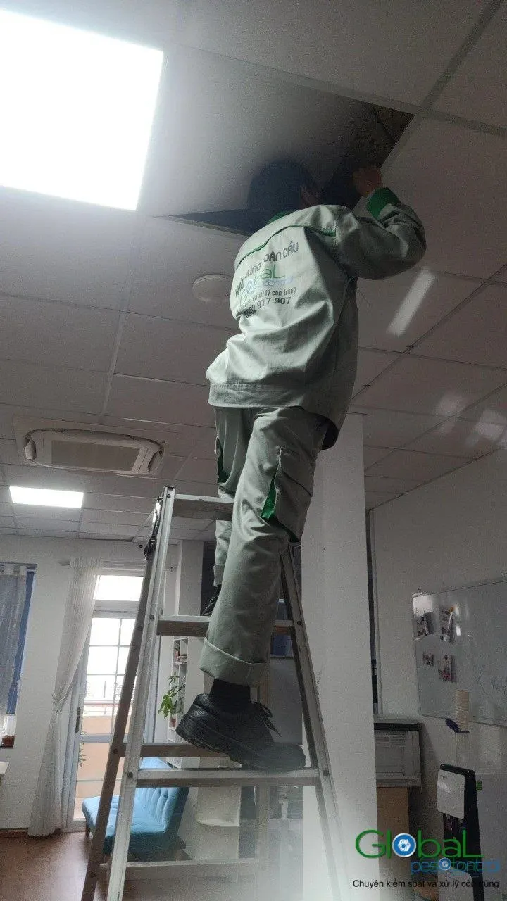 Phun diệt côn trùng định kỳ (đợt 8) — ảnh 6