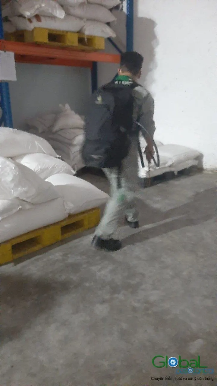 Phun diệt côn trùng định kỳ (đợt 8) — ảnh 11
