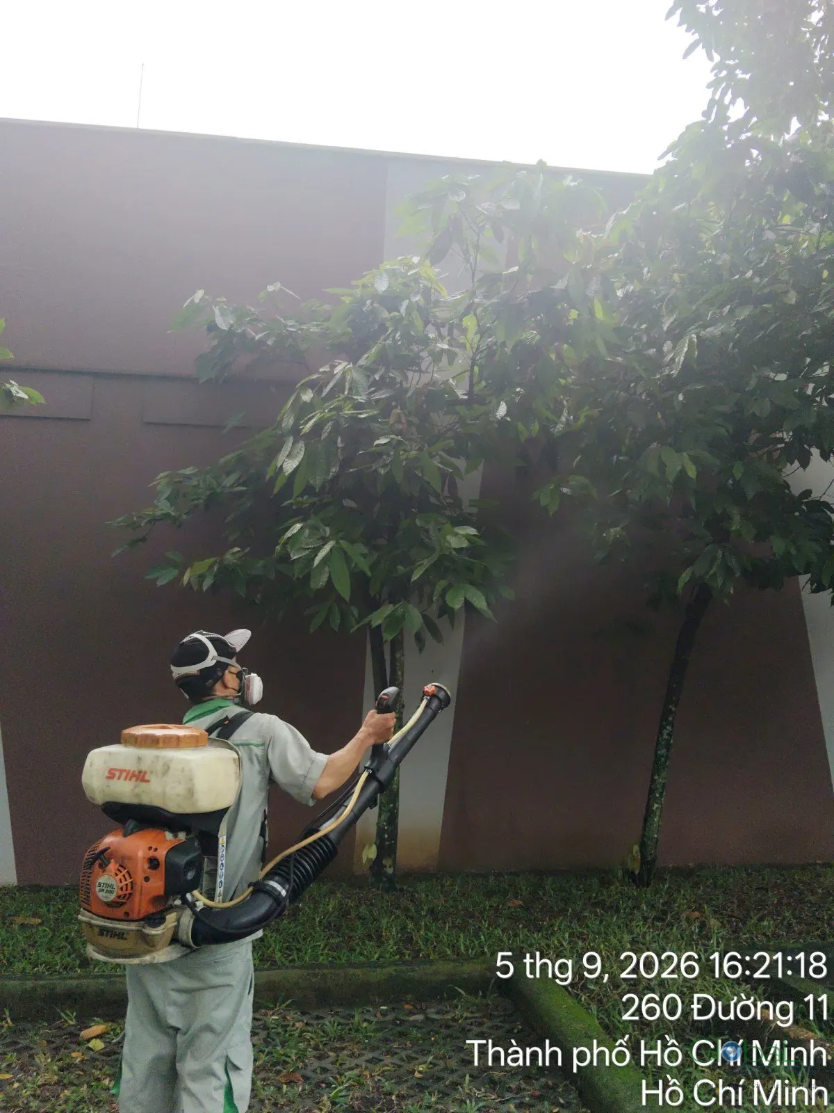 Phun diệt côn trùng định kỳ (đợt 7) — ảnh 19