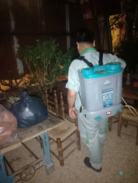 Kỹ thuật viên đeo bình phun điện xử lý côn trùng quán cà phê sân vườn