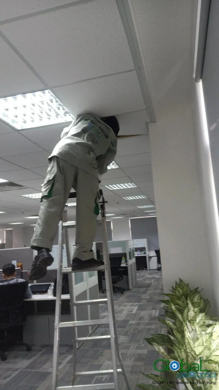 Phun diệt côn trùng định kỳ (đợt 8) — ảnh 16