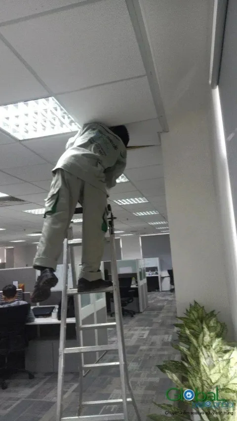Kỹ thuật viên đứng thang phun thuốc trần thạch cao văn phòng
