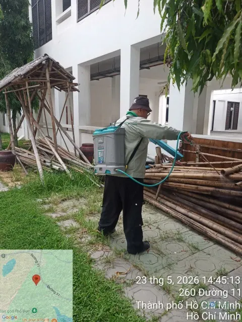 Kỹ thuật viên phun thuốc diệt muỗi khu vật liệu gỗ để ngoài trời