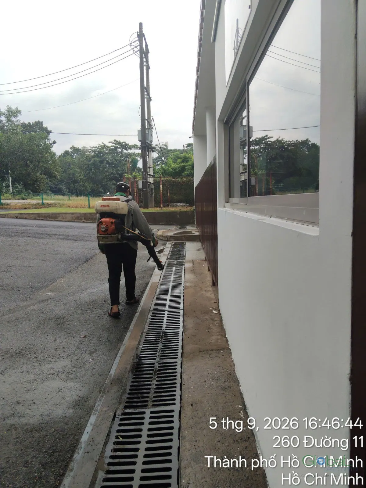 Phun diệt côn trùng định kỳ (đợt 7) — ảnh 24