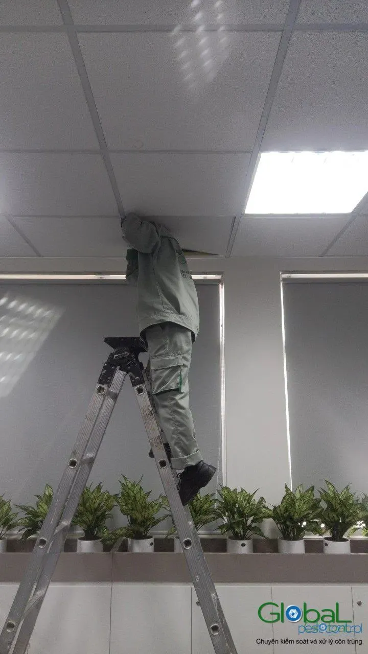 Phun diệt côn trùng định kỳ (đợt 9) — ảnh 13