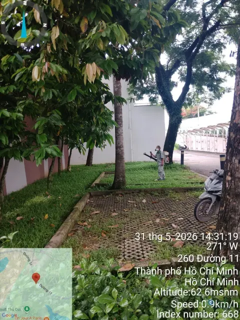 Sân vườn trường học có cây lớn được phun thuốc diệt muỗi
