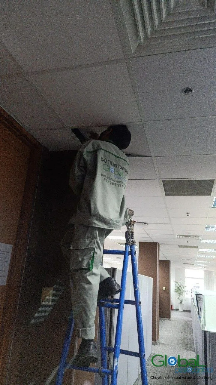 Kỹ thuật viên đứng thang xử lý trần thạch cao văn phòng
