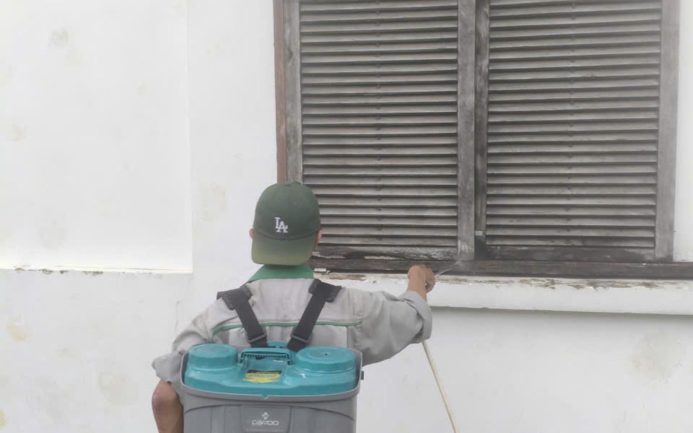 Mọt gỗ và mọt gạo: nhận biết, phòng tránh và khi nào cần dịch vụ