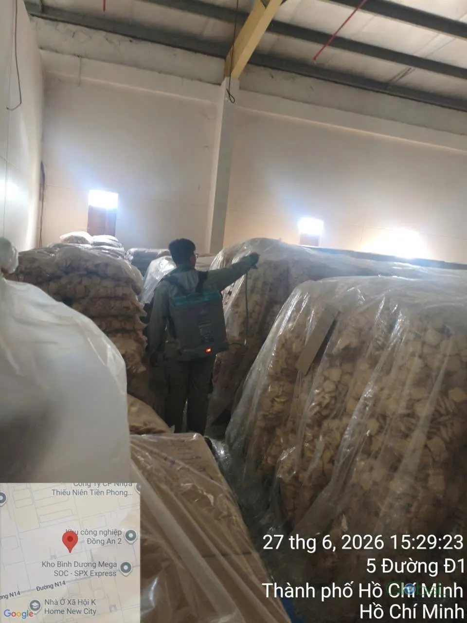 Phun diệt côn trùng định kỳ (đợt 7) — ảnh 11