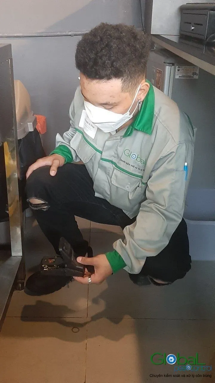Phun diệt côn trùng định kỳ (đợt 10) — ảnh 11