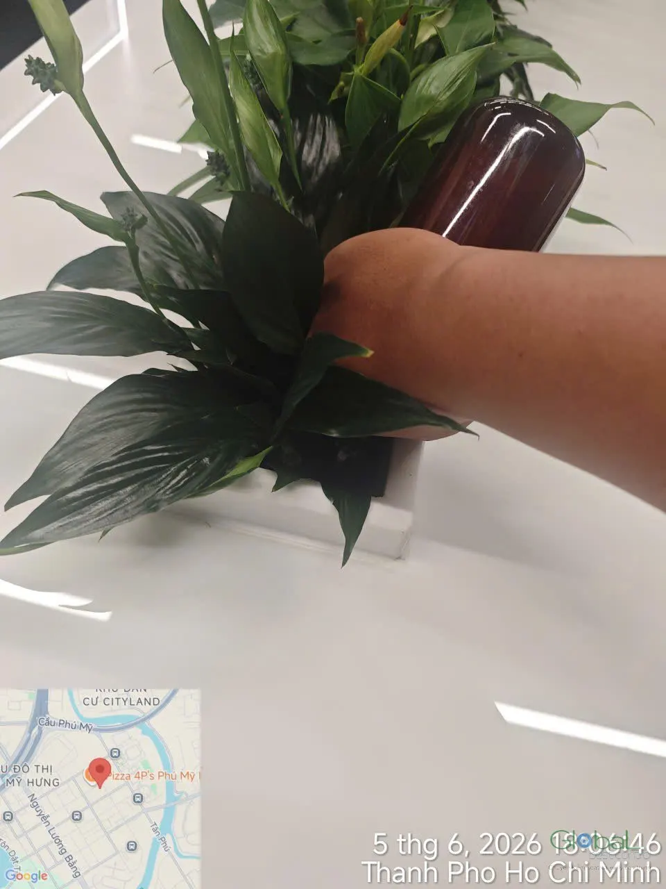 Phun diệt côn trùng định kỳ (đợt 4) — ảnh 16